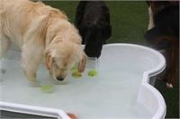 daycare pic 109 - pool and balls
